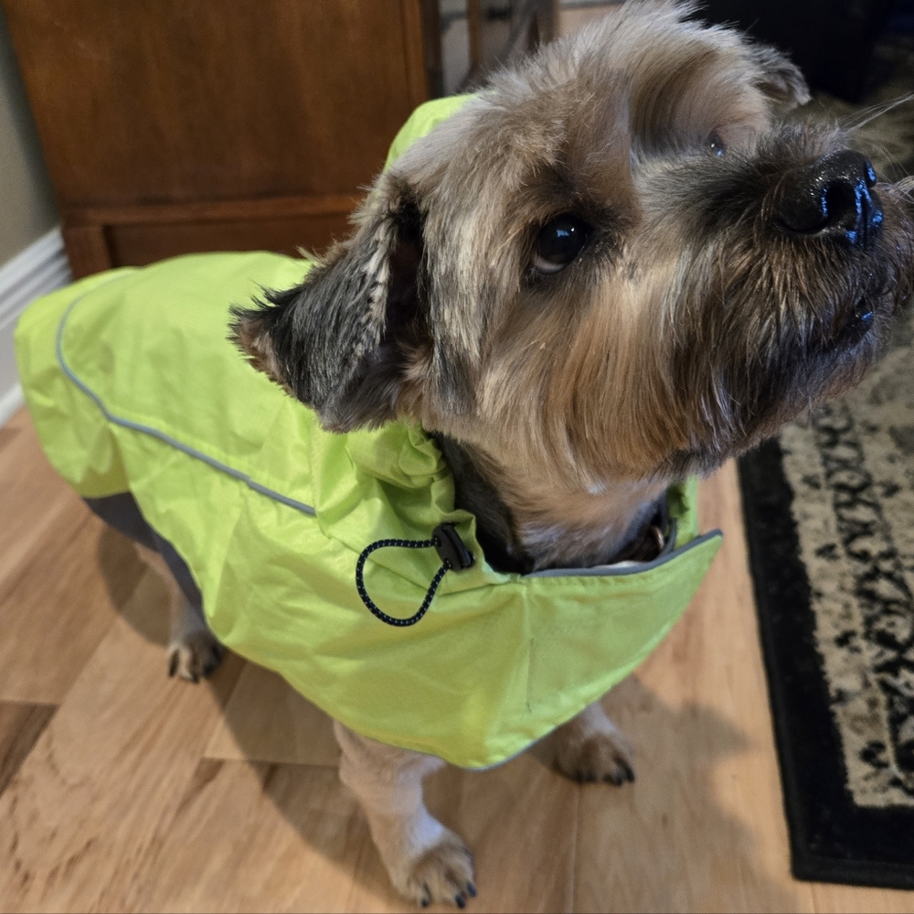 Top Paw Apparel for Dogs Reflective Rain Coat Water Resistant Size L